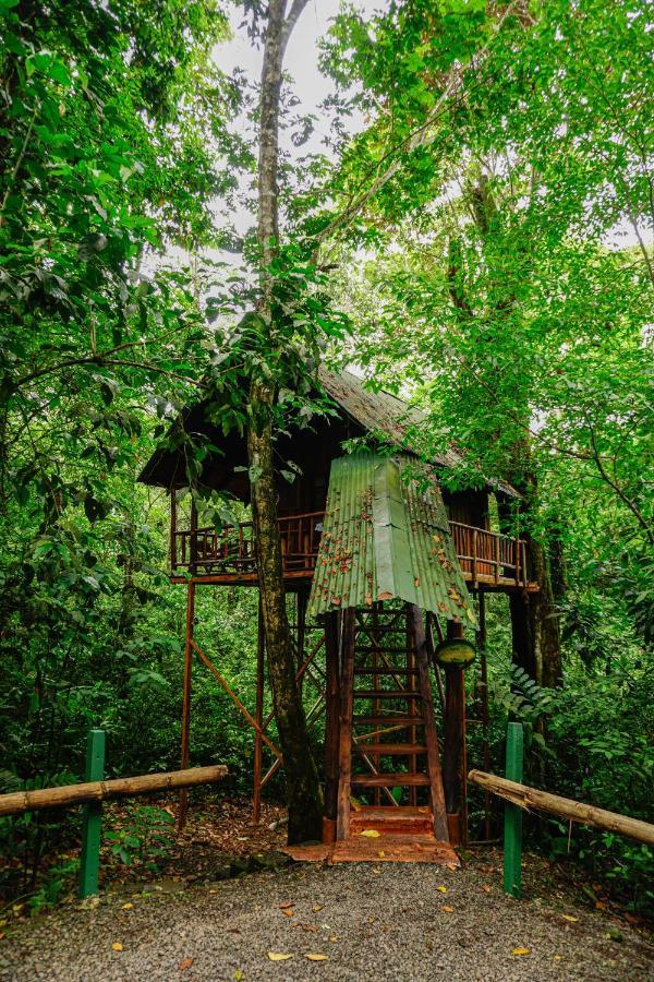 Tree Houses Hotel Costa Rica Florencia Exterior foto