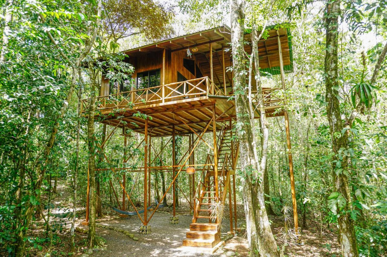 Tree Houses Hotel Costa Rica Florencia Exterior foto